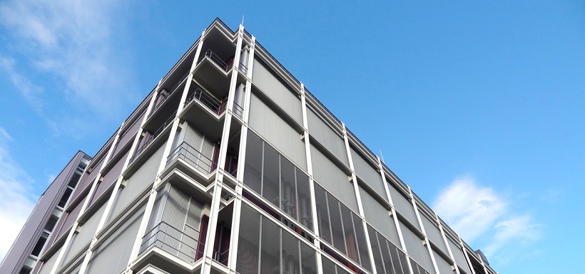 Tokyo No.6