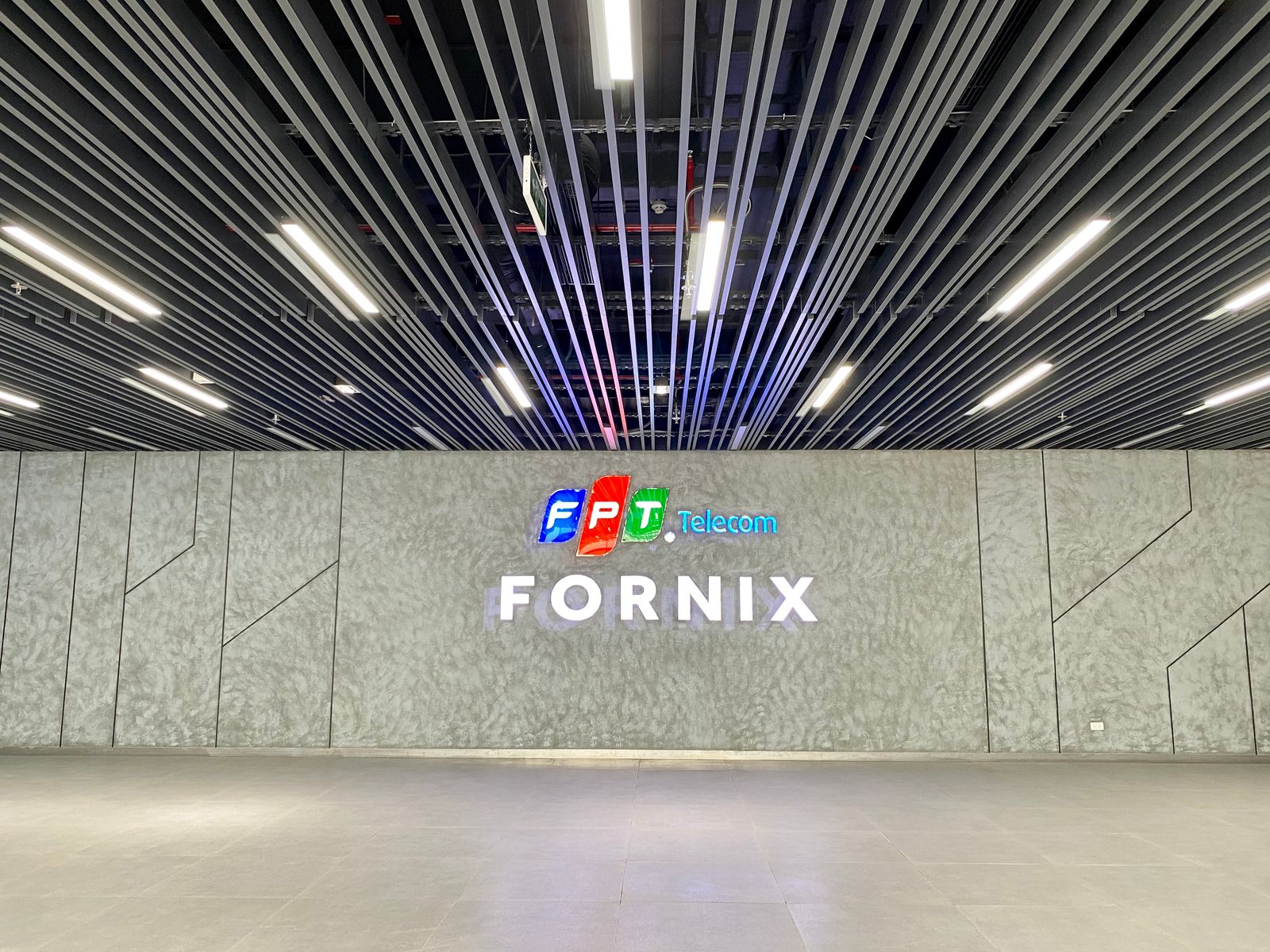 FPT FORNIX
